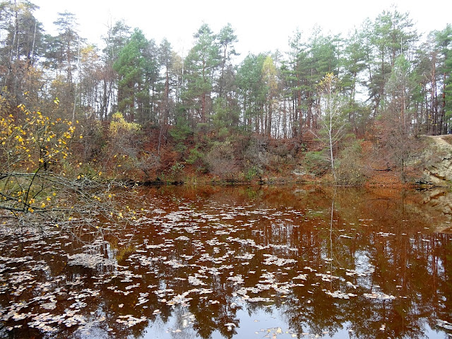 Rezerwat przyrody Biesak-Białogon