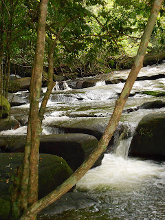 Chute d'eau Phu Quoc