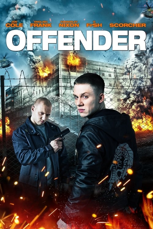 Descargar Offender 2012 Blu Ray Latino Online