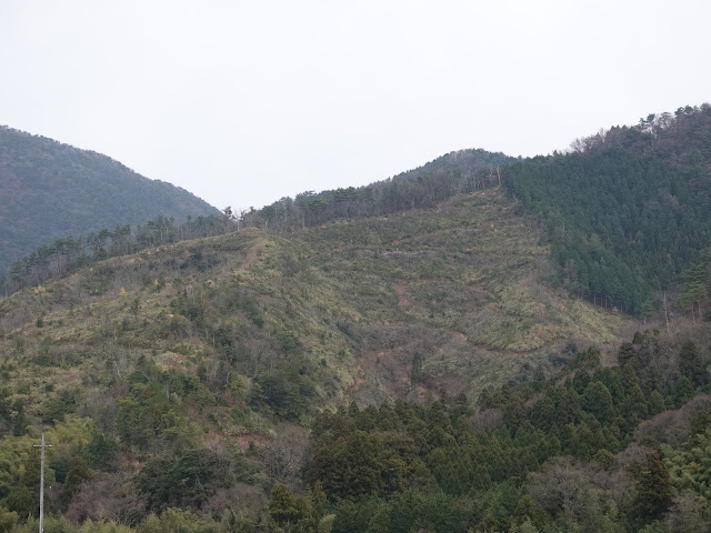 鳥取県西伯郡大山町赤松集落の農道からの眺望