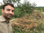 My photo