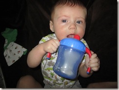 Sippy Cup 002