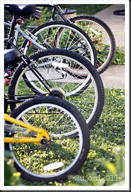 2011 07 08 _MG_3292w