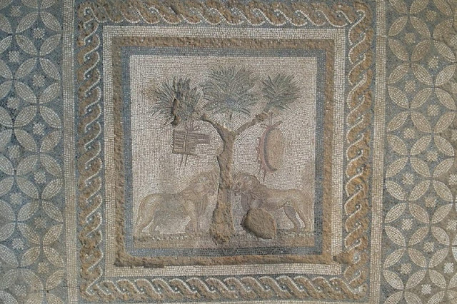 Ένα καλοδιατηρημένο ψηφιδωτό με λιοντάρια ανακαλύφθηκε στην αρχαία πόλη της Προύσας