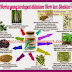 ✿✿✿ Herbalax ✿✿✿ 
