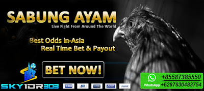 Situs Resmi Daftar Live Sabung Ayam SV388 (sv288) Terpercaya