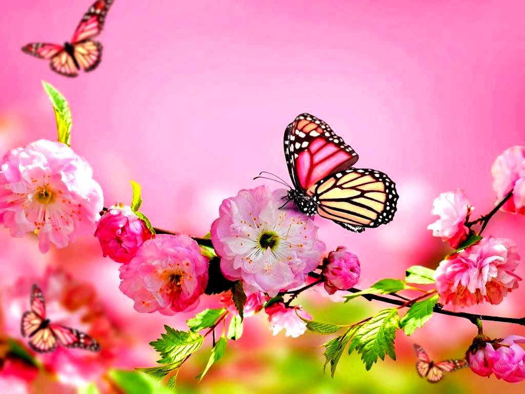 Butterflies And Flower Perfect Match Relaks Minda