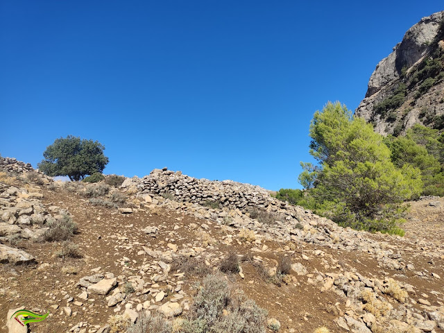 Circular al Navazalto (1.379 m) por los cintos - Muros antrópicos