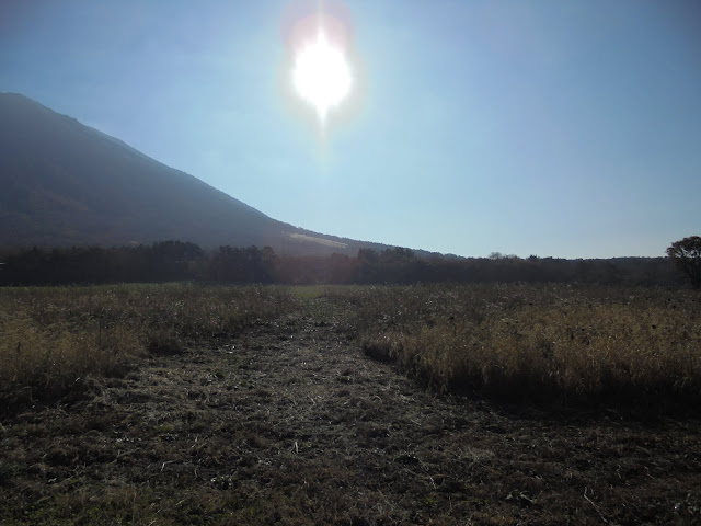 大山牧場の牧草地の風景