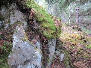 bedrock, outcropping, gold, quartz