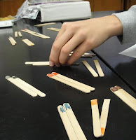 popsicle genetics project