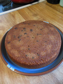 Applesauce Spice Chocolate Chip Cake!