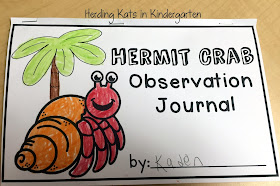 https://www.teacherspayteachers.com/Product/Hermit-Crab-Classroom-Pet-2091509