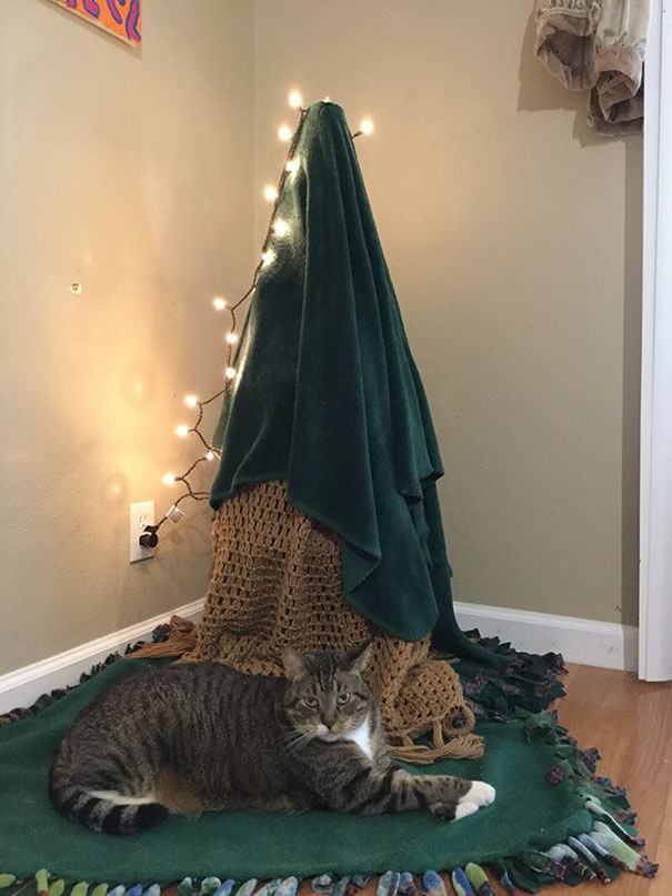 These Geniuses Found A Way To Protect Their Christmas Trees From Their Cats And Dogs