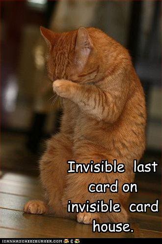 LOLcats - invisible object