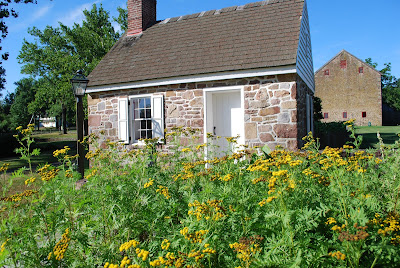 Small stone building with white trim on a bright summer day. Small clusters of yellow flowers on long green stems with clusters of small green leaves are in front.