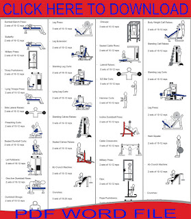 Chest Workout 