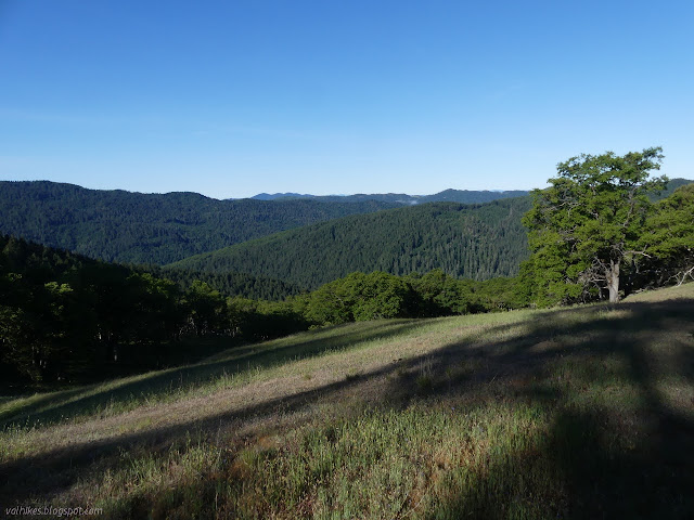 top of a meadow above Pilot Creek