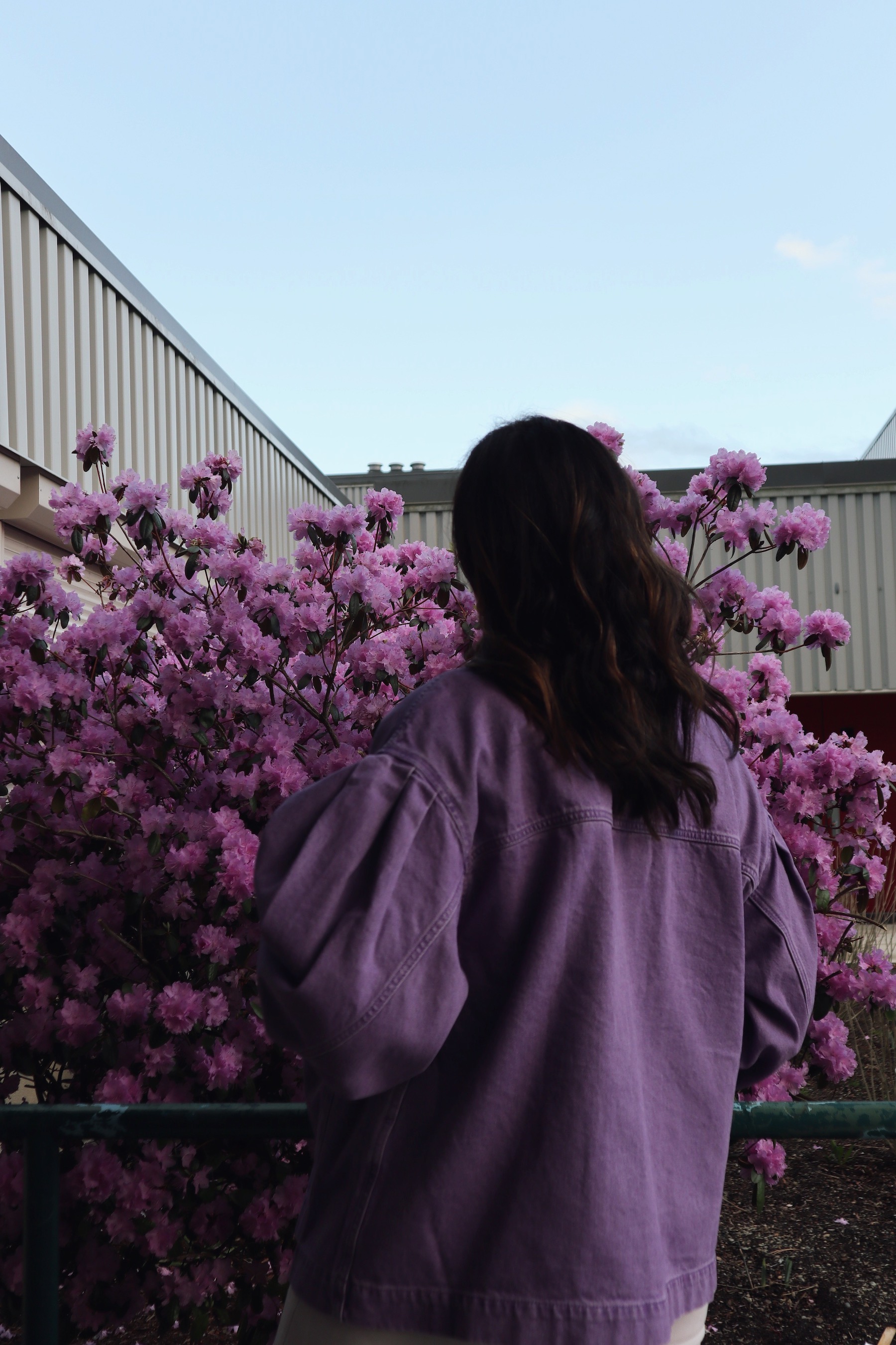 Levi's Fresh purple denim jacket spring outfit