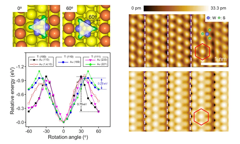 ▲ 다양한 금 표면에서 WS2 클러스터 회전각도에 따른 흡착 에너지 계산결과 및 실험적으로 측정된 단결정 WS2의 주사터널링현미경 이미지