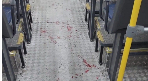 Enfermeiro é esfaqueado durante assalto a ônibus em Boa Viagem, no Recife