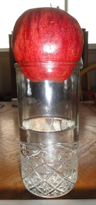 photo apple in the top of a glass of water