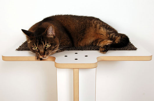 Cat Playground Furniture