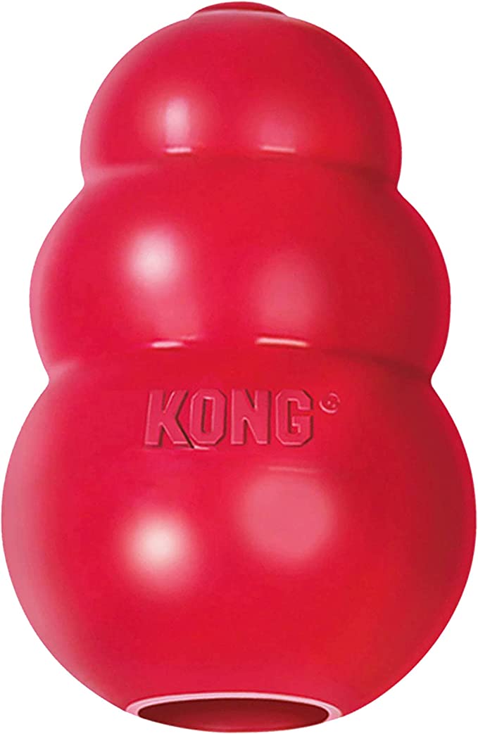 KONG Dog Toy for French Bulldog