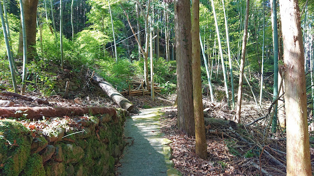 天神社(河内長野市)