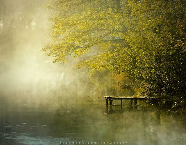 nadolnik, autumn, Brda