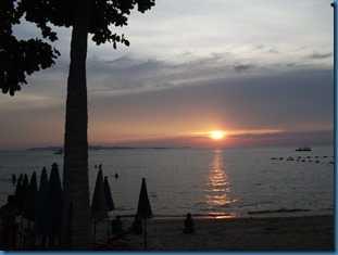 DSCF6664