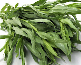 tarragon-substitute-fresh-coriander-cilantro