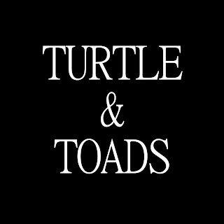 Turtle And Toads rock metal marseille