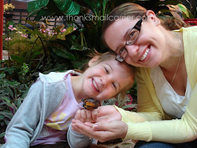 butterfly exhibit