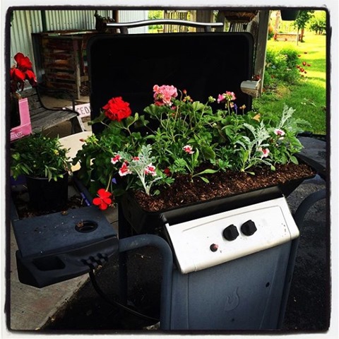 flower grills