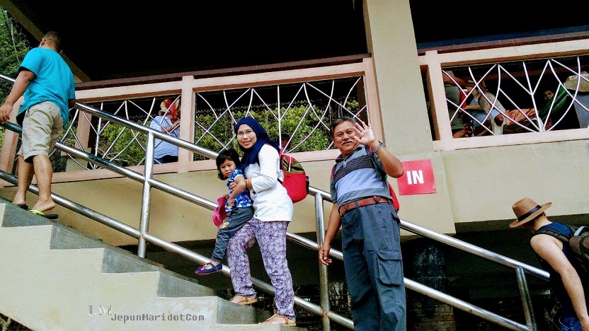 Langkawi Family trip : Mangrove