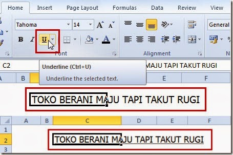 XLStyleUnderline