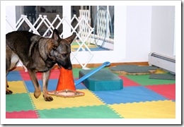 2009.11.7 Brita training in basemet-3