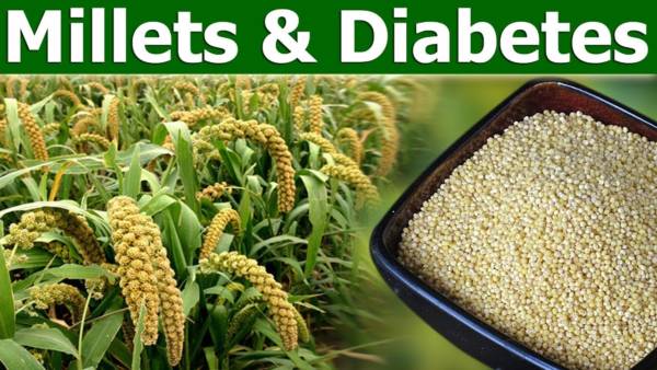Millets Can Help Prevent Diabetes Research and Study