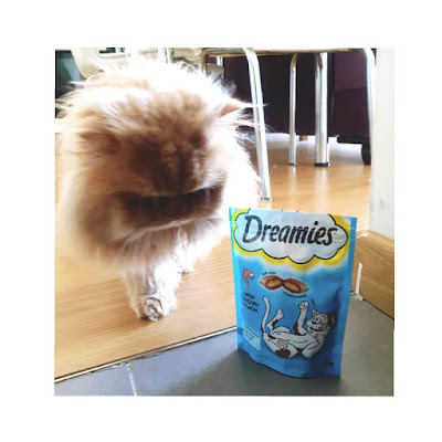 dreamies ödül maması, kedi ödül maması, kedi maltı, gimcat maltı, kuru mama