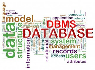 The Basics of Database Management System (DBMS)