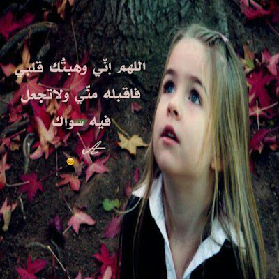 صور وخلفيات