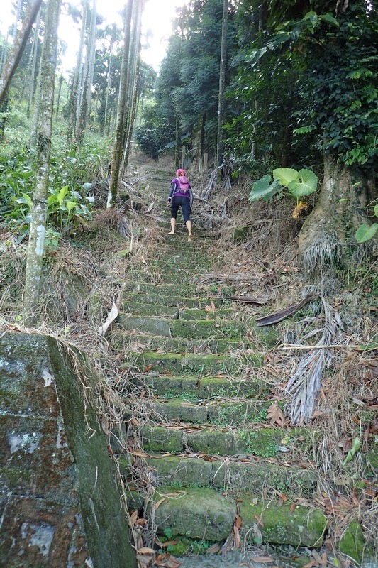 2014_1012 半天古道上梅山36彎出梅圳國小O走_020