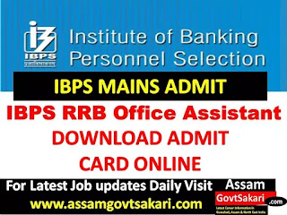 IBPS RRB Main Exam Admit Card 2019