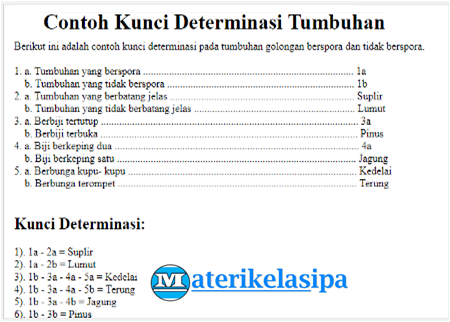 Populer Kunci Dikotom, Hewan Invertebrata