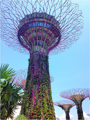 Gardens by the Bay