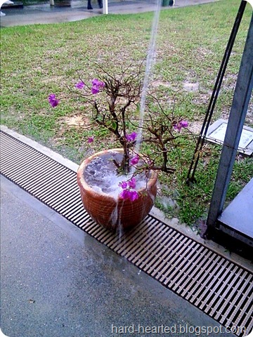 Photo0447-1
