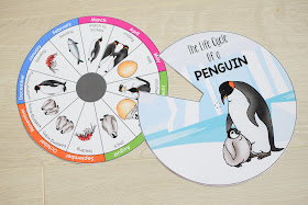 PENGUIN LIFE CYCLE TIMELINE WHEEL