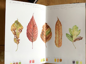 leaf paintings in a sketchbook