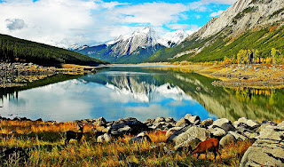 Hakkari ile ilgili aramalar hakkari valiliği hakkari haber hakkari objektif hakkari son dakika hakkari haberleri hakkari yüksekova hakkari merkez hakkari şemdinli Hakkari gezi ile ilgili aramalar hakkari gezilecek yerler hakkari ile ilgili gezi yazısı hakkari şehir merkezi görüntüleri hakkari hakkında yorumlar hakkari merkez hakkari nin doğal güzellikleri hakkari üniversitesi Hakkari Turizm Online Otobüs Bileti Satış Ve Rezervasyon Sistemi